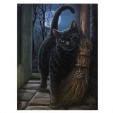 Tablou canvas pisica neagra O Intalnire Magica 19x25cm - Lisa Parker